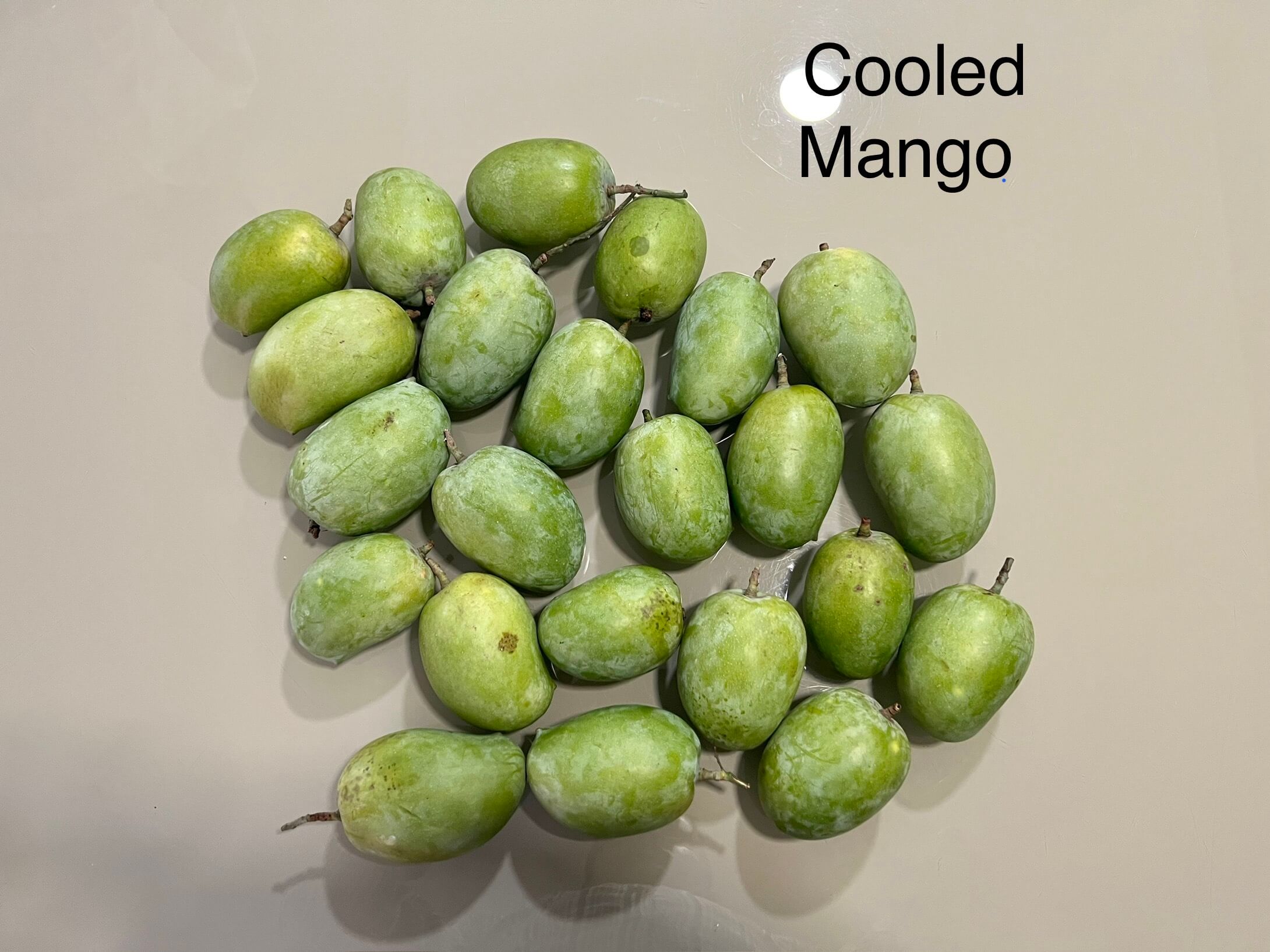 Freshly packed mature green mangoes at the start of the trial