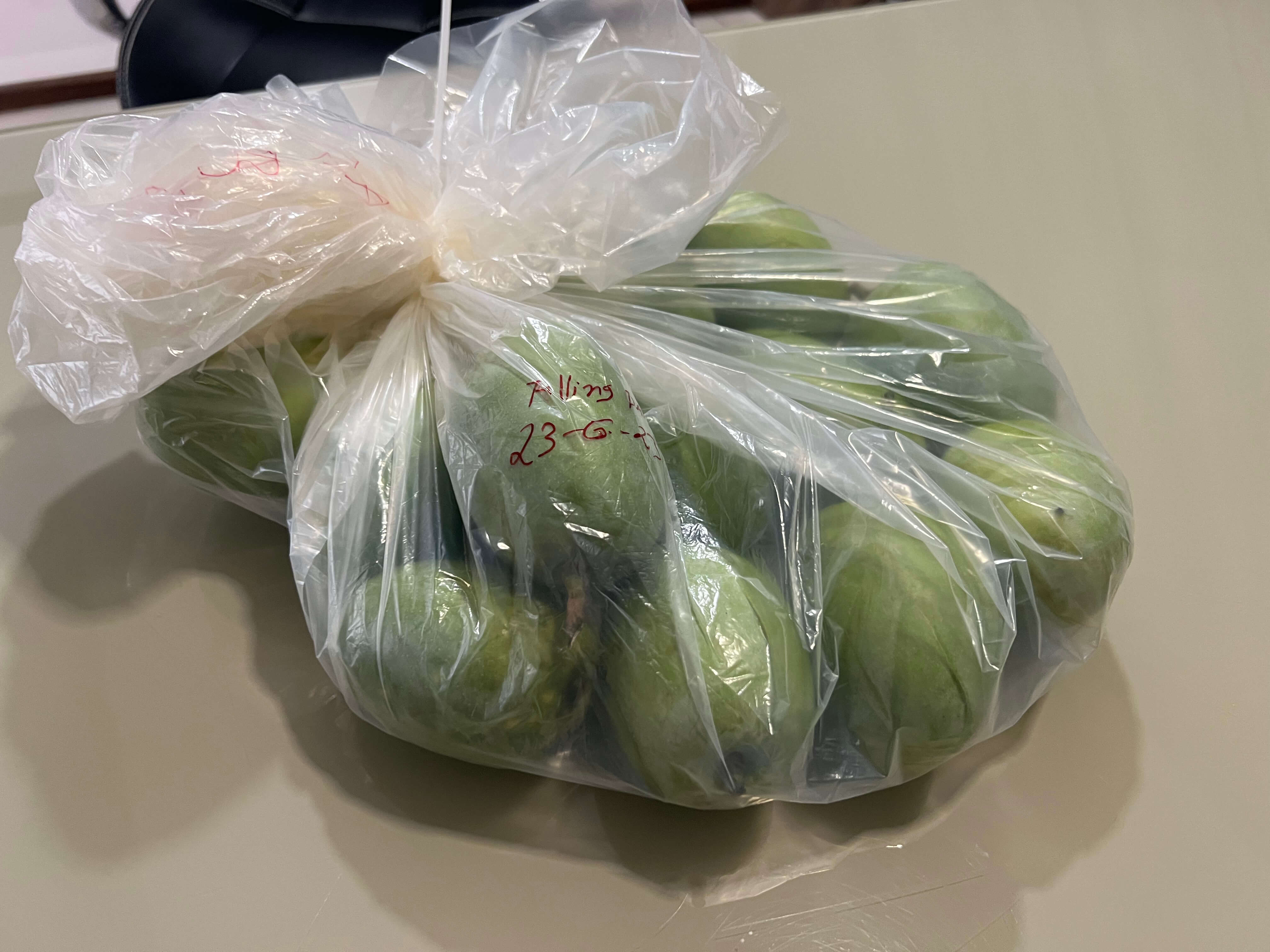 MicroKlimate MAP bag filled with mangoes at the start of the trial