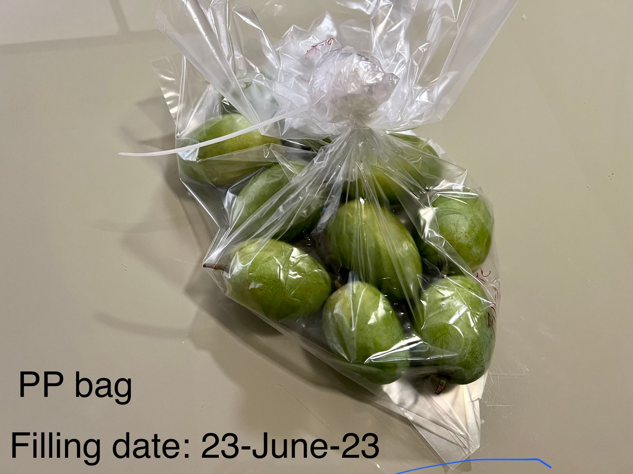 Non-MAP / Other MAP bag filled with mangoes, dated 23 June 2023